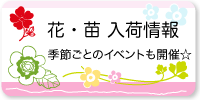 花・苗 入荷情報