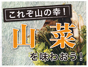 これぞ山の幸!山菜を味わおう!/月刊かみいな