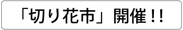 「切り花市」開催!!