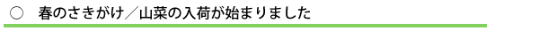 春のさきがけ/山菜の入荷が始まりました