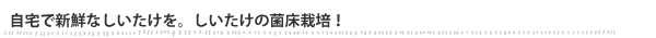 自宅で新鮮なしいたけを。しいたけの菌床栽培!