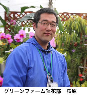 グリーンファーム・鉢花部 萩原部長